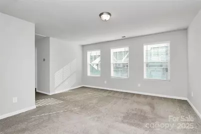 3852 Amalia Place, Fort Mill, SC 29707 - Photo 23