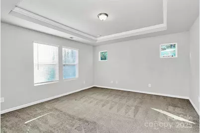 3852 Amalia Place, Fort Mill, SC 29707 - Photo 17