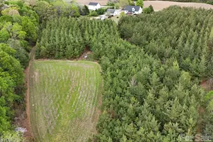 176 Griffin Rd, Pageland, SC 29728 - Photo 3