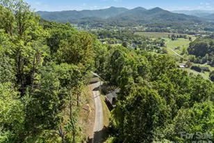 88 Brown Bear Way, Waynesville, NC 28786 - Photo 43