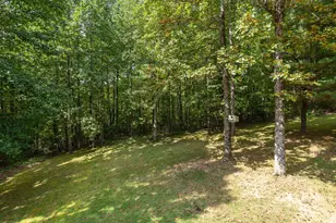 106 Chancery Ct, Flat Rock, NC 28731 - Photo 15