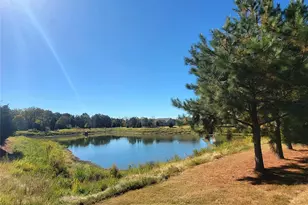 758 Peach Valley Ln, Fort Mill, SC 29715 - Photo 37