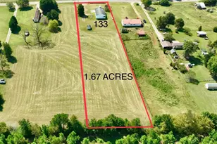 133 Bluegill Ln, Statesville, NC 28625 - Photo 5