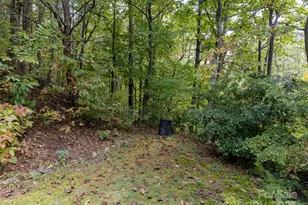 365 Duckback Trl, Whittier, NC 28789 - Photo 35