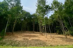 3 Erwin Temple Church Rd, Woodleaf, NC 27054 - Photo 1