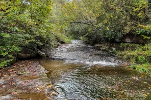 800 Williamson Creek Rd, Pisgah Forest, NC 28768 - Photo 43