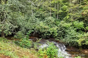 800 Williamson Creek Rd, Pisgah Forest, NC 28768 - Photo 47