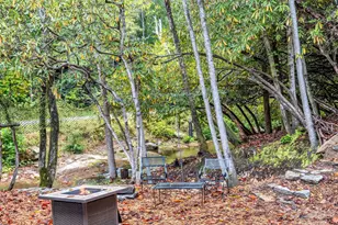 800 Williamson Creek Rd, Pisgah Forest, NC 28768 - Photo 11