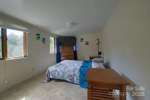 365 Old Haw Creek Rd, Asheville, NC 28805 - Photo 9