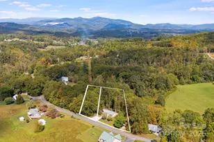 1007 Dula Rd, Spruce Pine, NC 28777 - Photo 41