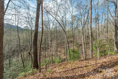 99999 Trillium Lane #7, Lake Lure, NC 28746 - Photo 9