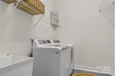 20314 Colony Point Lane, Cornelius, NC 28031 - Photo 29