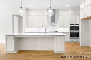 1041 Sage Pine Cir, Clover, SC 29710 - Photo 3