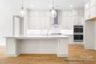 1041 Sage Pine Cir, Clover, SC 29710 - Photo 3