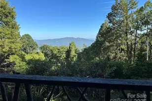 16 Osborn Knob Rd, Little Switzerland, NC 28749 - Photo 9