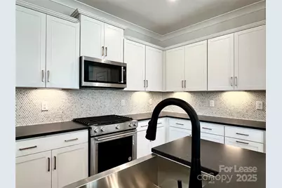 15906 Parkside Crossing Drive, Charlotte, NC 28278 - Photo 5