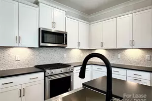 15906 Parkside crossing Dr, Charlotte, NC 28278 - Photo 5