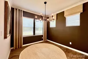 15906 Parkside crossing Dr, Charlotte, NC 28278 - Photo 11