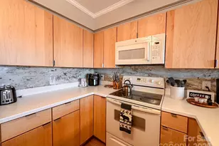 301 Pinnacle Inn Rd, Beech Mountain, NC 28604 - Photo 11