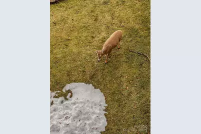 301 Pinnacle Inn Road #3320, Beech Mountain, NC 28604 - Photo 37