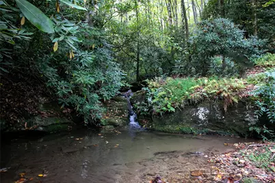 923 Ugugu Drive, Brevard, NC 28712 - Photo 11