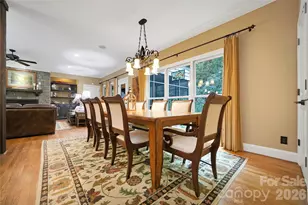 923 Ugugu Dr, Brevard, NC 28712 - Photo 29