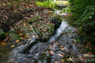 923 Ugugu Dr, Brevard, NC 28712 - Photo 5