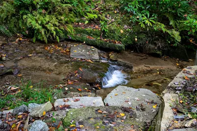 923 Ugugu Drive, Brevard, NC 28712 - Photo 9