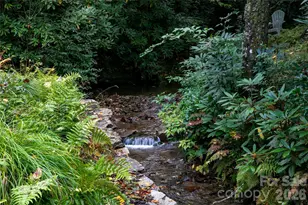 923 Ugugu Dr, Brevard, NC 28712 - Photo 7