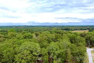 1171 Peach Orchard Rd, Jefferson, SC 29718 - Photo 25