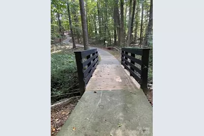 10826 Meg Meadow Drive, Mint Hill, NC 28227 - Photo 47