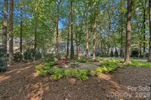 16141 Weatherly Way, Huntersville, NC 28078 - Photo 43