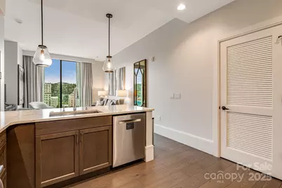 7 Patton Avenue #1005, Asheville, NC 28801 - Photo 15