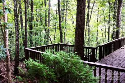 34 Leisure Lane, Weaverville, NC 28787 - Photo 5