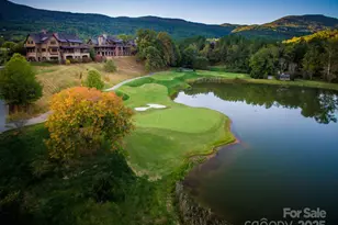 275 Clubhouse Ln, Mill Spring, NC 28756 - Photo 47