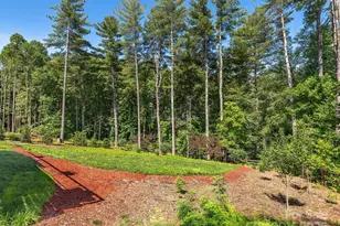 434 Creek Side Dr, Mills River, NC 28759 - Photo 13