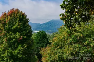 20 Rosebay Ln, Asheville, NC 28803 - Photo 41