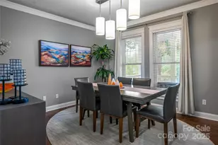 20 Rosebay Ln, Asheville, NC 28803 - Photo 7