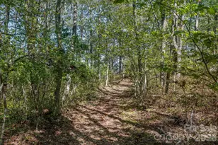 1544 Panthertown Rd, Lake Toxaway, NC 28747 - Photo 45