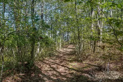 1544 Panthertown Road, Lake Toxaway, NC 28747 - Photo 43