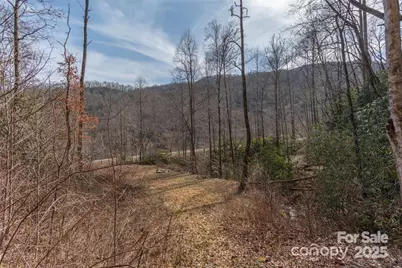 2220 (Tract 1) Tilley Creek Road, Cullowhee, NC 28723 - Photo 5