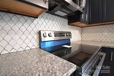 223 N Main Street, Canton, NC 28716 - Photo 7