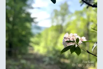 Lot 14R Arrowhead Ridge #14 Revised, Brevard, NC 28712 - Photo 5