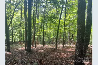 Lot 14R Arrowhead Ridge #14 Revised, Brevard, NC 28712 - Photo 7