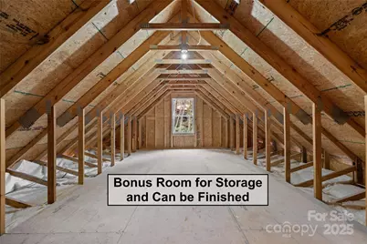 446 Old Buckeye Cove Road, Swannanoa, NC 28778 - Photo 47