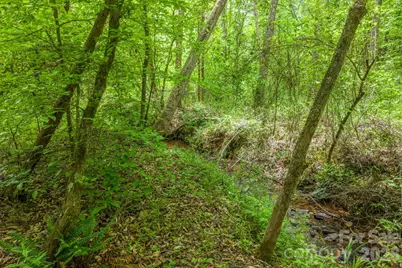 288 Maypole Court, Forest City, NC 28043 - Photo 43