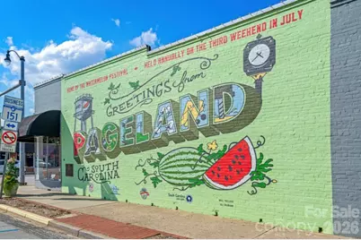 403 Laney Farms Drive, Pageland, SC 29728 - Photo 15