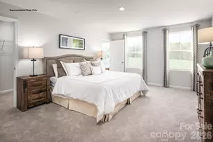 403 Laney Farms Dr, Pageland, SC 29728 - Photo 9