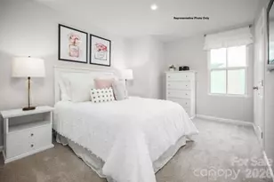 403 Laney Farms Dr, Pageland, SC 29728 - Photo 13