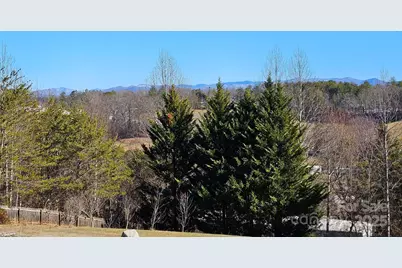 4 Carter Hill Drive, Leicester, NC 28748 - Photo 41